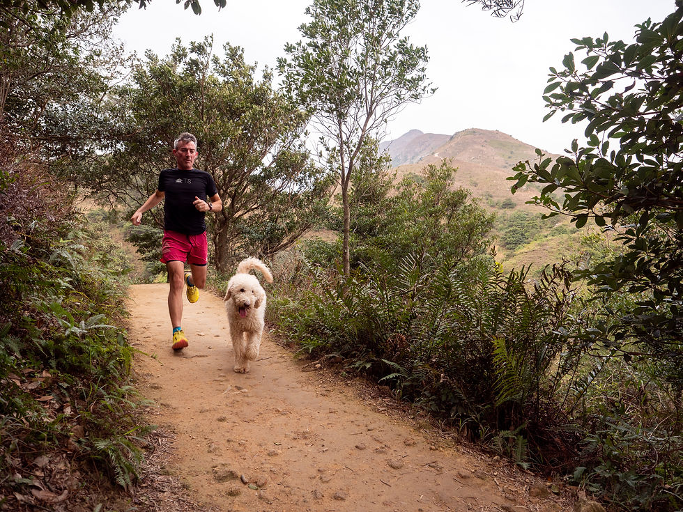 Mind, Body, Business: Lessons Learned from Trail Running and Exercise for Entrepreneurial Success — photo