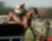 Resilient Keynote speaker Jo Lodder as a professional National Hunt jockey clearing a steeplechase fence during a race in the UK.